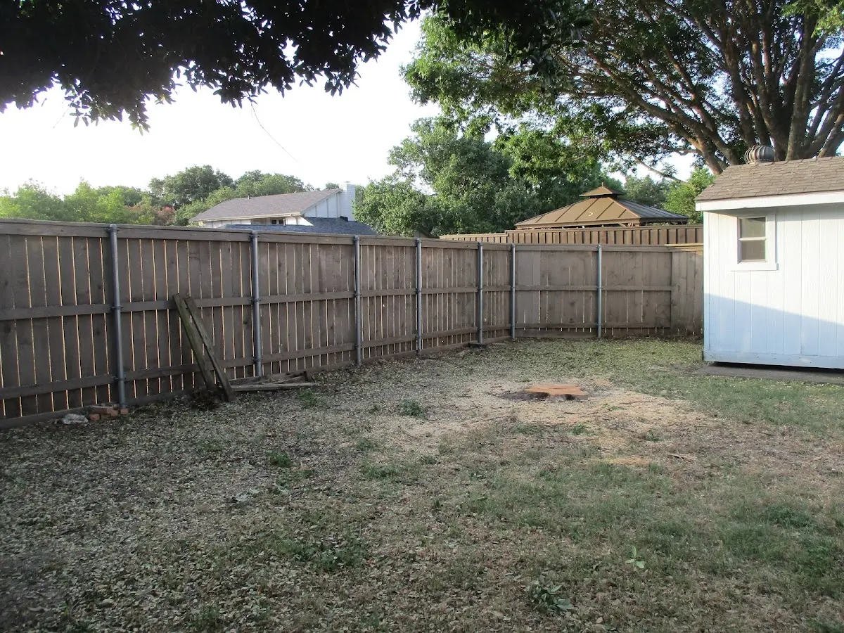 Cleared yard after professional tree removal in Whitman